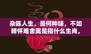 杂陈人生，是何种味，不如释怀难舍离是指什么生肖，成语落实解释释义