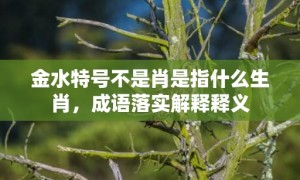 金水特号不是肖是指什么生肖，成语落实解释释义