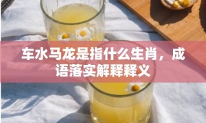 车水马龙是指什么生肖，成语落实解释释义