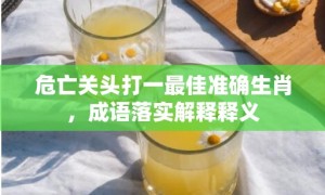 危亡关头打一最佳准确生肖，成语落实解释释义