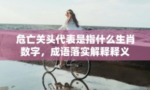 危亡关头代表是指什么生肖数字，成语落实解释释义