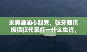 来势汹汹心胆寒，张牙舞爪极猖狂代表打一什么生肖，成语落实解释释义