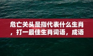 危亡关头是指代表什么生肖，打一最佳生肖词语，成语落实解释释义