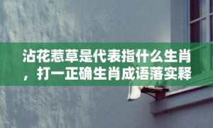 沾花惹草是代表指什么生肖，打一正确生肖成语落实释义