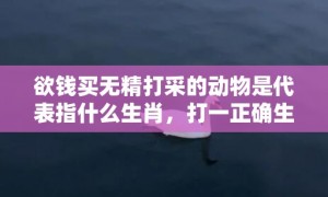 欲钱买无精打采的动物是代表指什么生肖，打一正确生肖成语落实释义