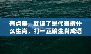 有点事，耽误了是代表指什么生肖，打一正确生肖成语落实释义