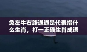 兔左牛右路通通是代表指什么生肖，打一正确生肖成语落实释义