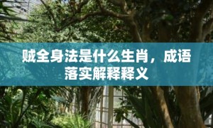 贼全身法是什么生肖，成语落实解释释义