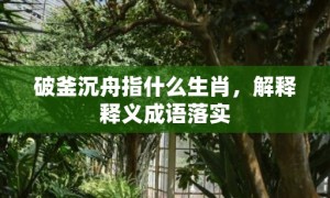 破釜沉舟指什么生肖，解释释义成语落实