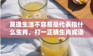 莫理生活不容易是代表指什么生肖，打一正确生肖成语落实释义