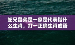 蛇兄鼠弟是一家是代表指什么生肖，打一正确生肖成语落实释义