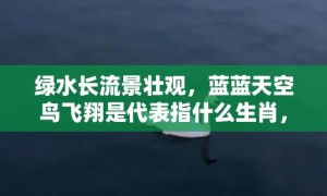 绿水长流景壮观，蓝蓝天空鸟飞翔是代表指什么生肖，打一正确生肖成语落实释义