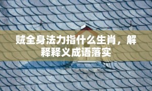 贼全身法力指什么生肖，解释释义成语落实