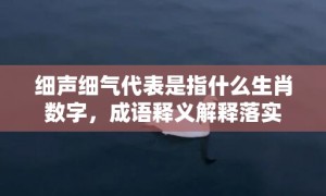 细声细气代表是指什么生肖数字，成语释义解释落实