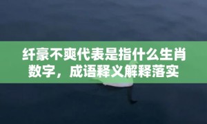 纤豪不爽代表是指什么生肖数字，成语释义解释落实