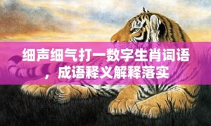 细声细气打一数字生肖词语，成语释义解释落实