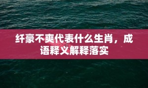 纤豪不爽代表什么生肖，成语释义解释落实