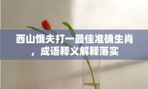 西山饿夫打一最佳准确生肖，成语释义解释落实