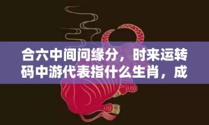 合六中间问缘分，时来运转码中游代表指什么生肖，成语落实解释释义