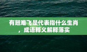 有翅难飞是代表指什么生肖，成语释义解释落实