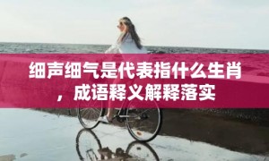 细声细气是代表指什么生肖，成语释义解释落实