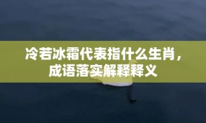 冷若冰霜代表指什么生肖，成语落实解释释义