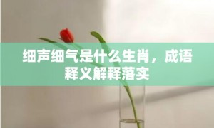 细声细气是什么生肖，成语释义解释落实