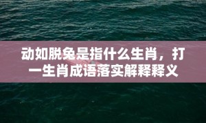 动如脱兔是指什么生肖，打一生肖成语落实解释释义