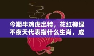 今期牛鸡虎出特，花红柳绿不夜天代表指什么生肖，成语落实解释释义