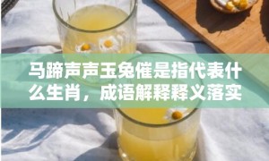 马蹄声声玉兔催是指代表什么生肖，成语解释释义落实