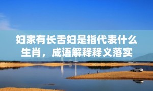 妇家有长舌妇是指代表什么生肖，成语解释释义落实