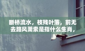 断桥流水，枝残叶落，前无去路风萧索是指什么生肖，成语落实解释释义