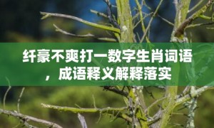 纤豪不爽打一数字生肖词语，成语释义解释落实