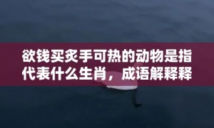 欲钱买炙手可热的动物是指代表什么生肖，成语解释释义落实