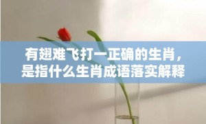 有翅难飞打一正确的生肖，是指什么生肖成语落实解释释义