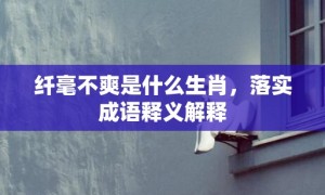 纤毫不爽是什么生肖，落实成语释义解释