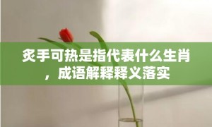 炙手可热是指代表什么生肖，成语解释释义落实