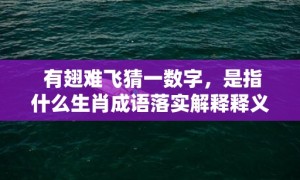 有翅难飞猜一数字，是指什么生肖成语落实解释释义