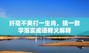 纤毫不爽打一生肖，猜一数字落实成语释义解释