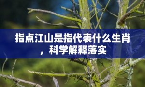 指点江山是指代表什么生肖，科学解释落实