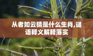 从者如云猜是什么生肖,谜语释义解释落实