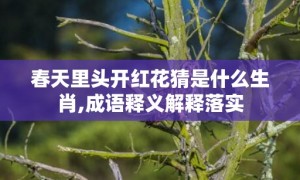 春天里头开红花猜是什么生肖,成语释义解释落实