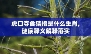 虎口夺食猜指是什么生肖,谜底释义解释落实