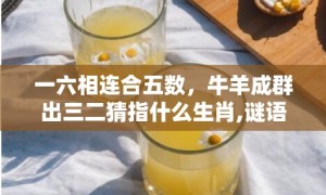 一六相连合五数，牛羊成群出三二猜指什么生肖,谜语释义解释落实