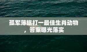 孤军薄旅打一最佳生肖动物，答案曝光落实