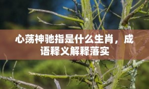 心荡神驰指是什么生肖，成语释义解释落实