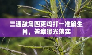 三通鼓角四更鸡打一准确生肖，答案曝光落实