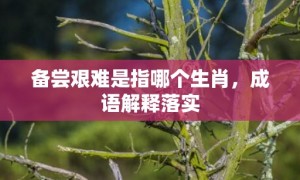 备尝艰难是指哪个生肖，成语解释落实