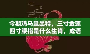 今期鸡马鼠出特，三寸金莲四寸腰指是什么生肖，成语释义解释落实