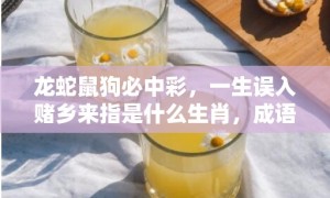 龙蛇鼠狗必中彩，一生误入赌乡来指是什么生肖，成语释义解释落实